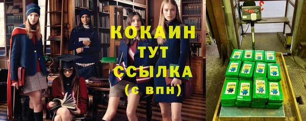 гидра Балахна