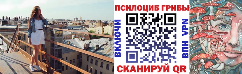 где продают   Петров Вал  Псилоцибиновые грибы Psilocybine cubensis 